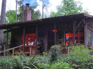 Yes, that is a fire in the fireplace in late July. It was a comfy place to call home - even if only for a day! 